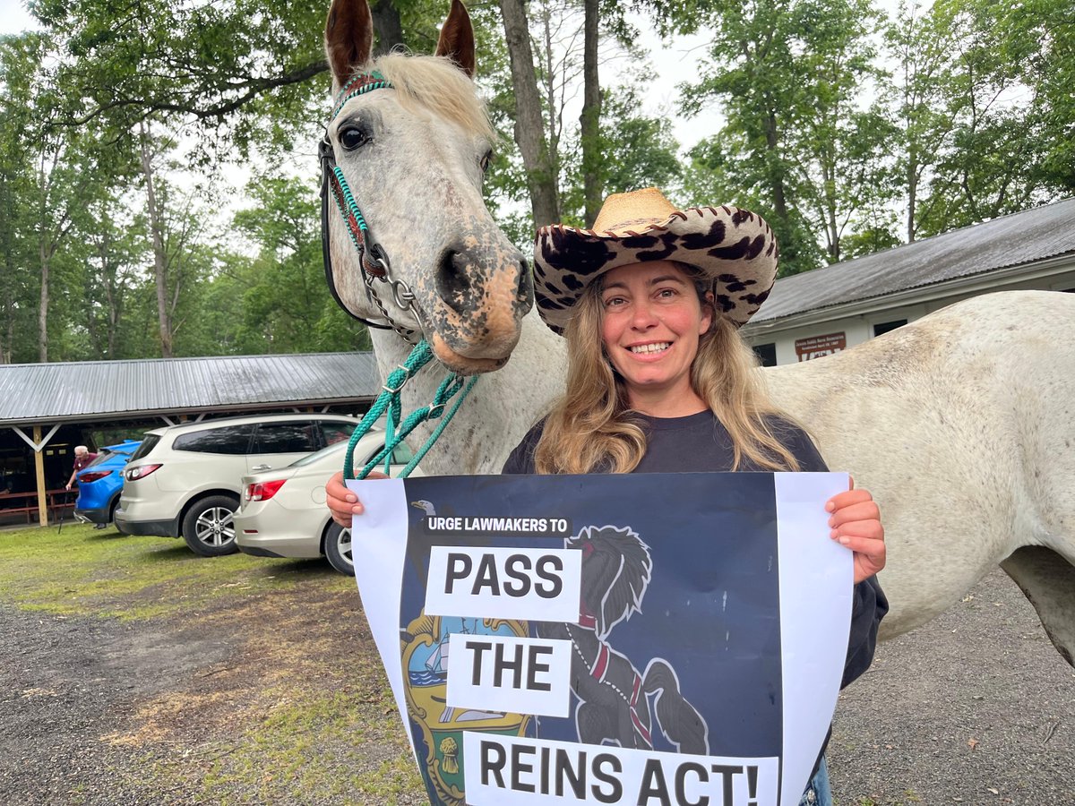 Our Pennsylvania advocates know the truth -- it's time for lawmakers to quit horsing around and pass the REINS act!