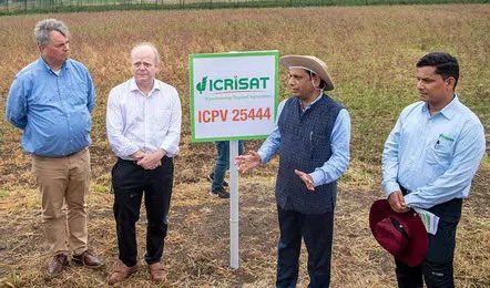 ICRISAT’s Accelerated Crop Improvement Program tweet media