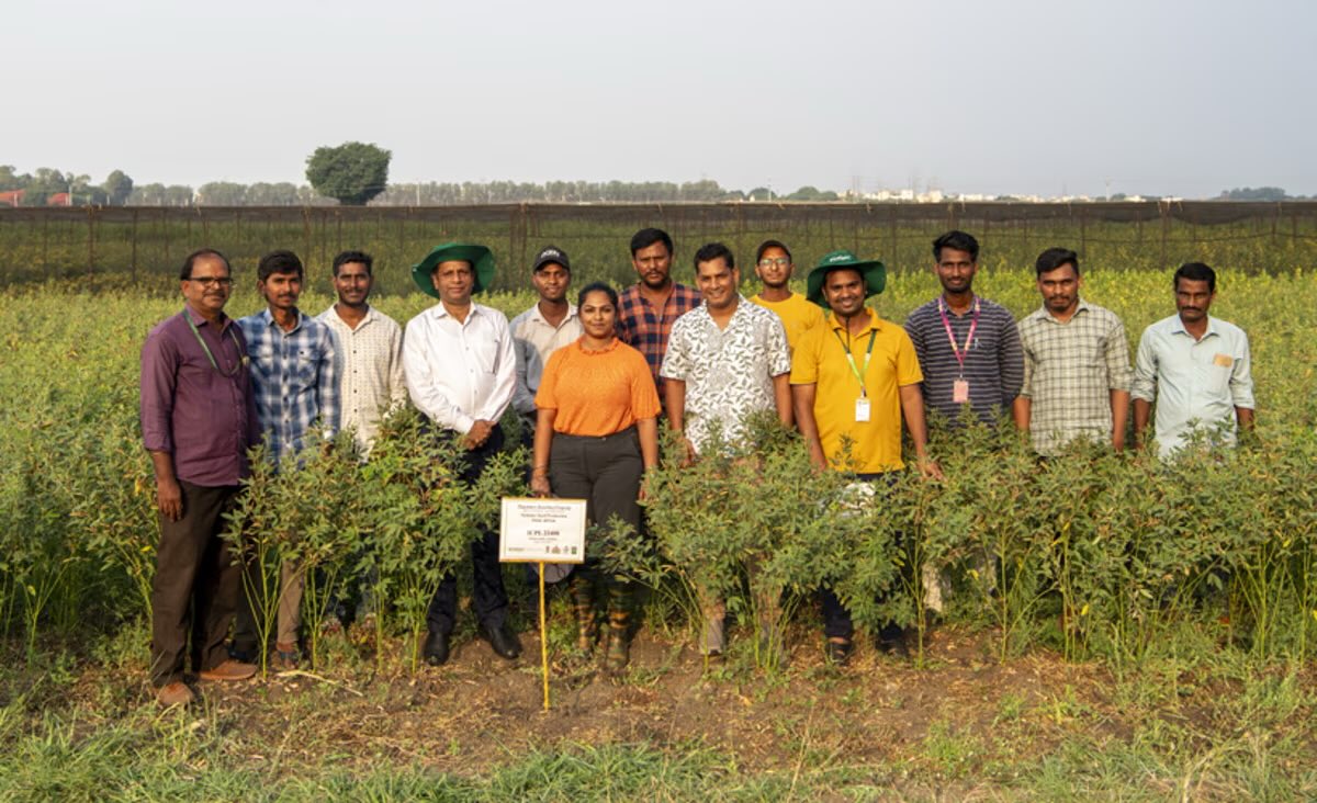 ICRISAT’s Accelerated Crop Improvement Program tweet media