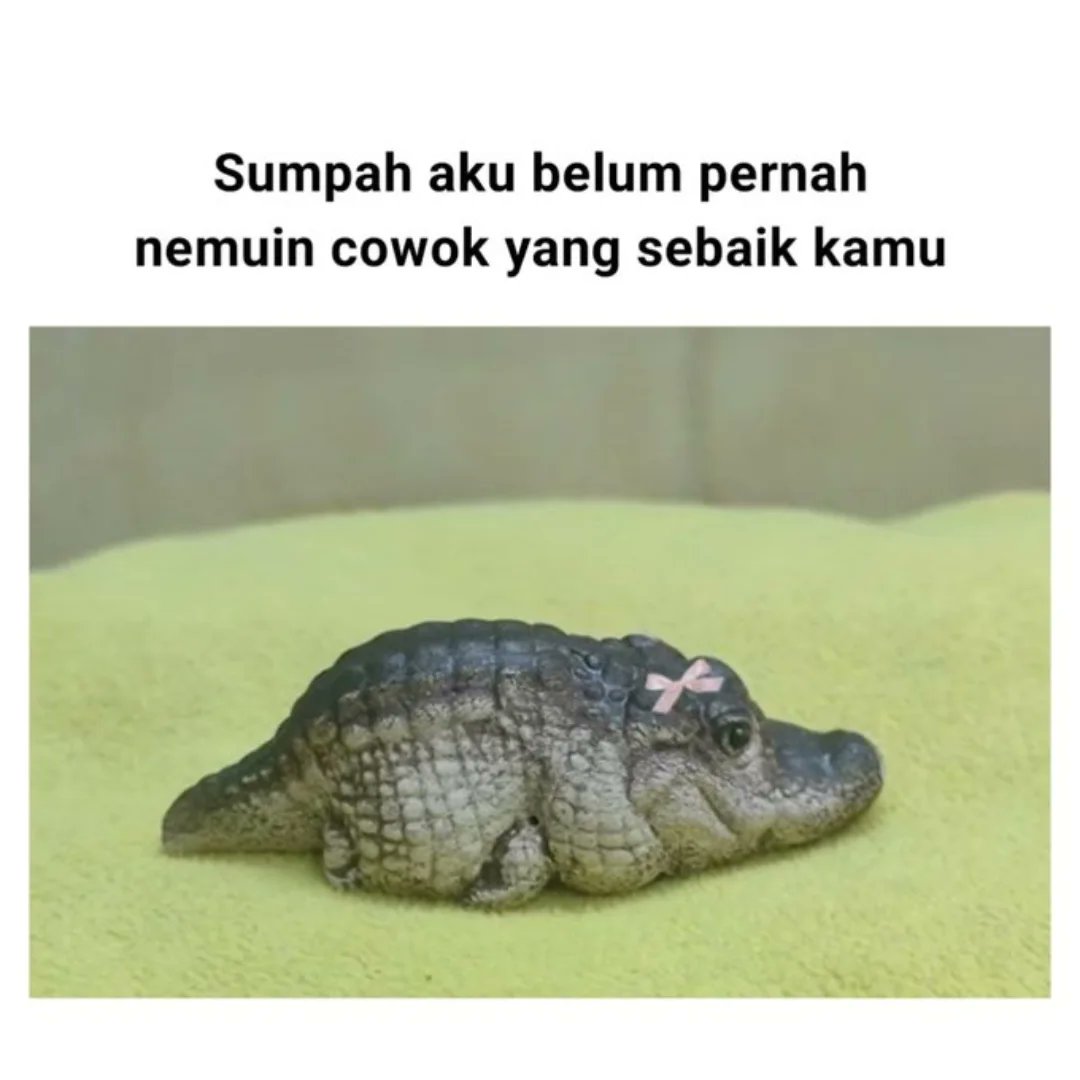 Nekooo tweet media