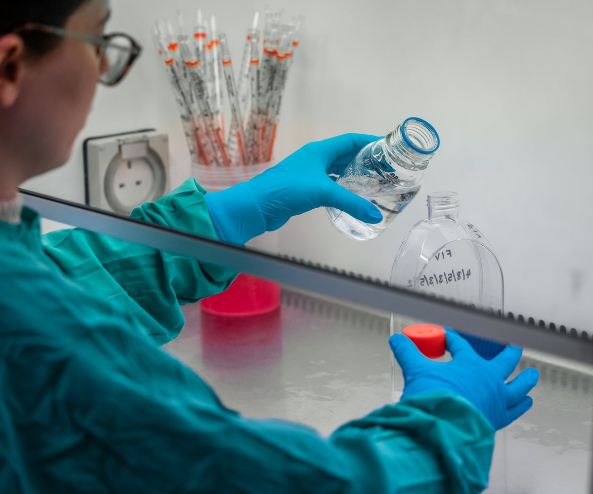 We're back in action!
Our first rabies tests were successfully set up today and we're swiftly making our way through all the samples that were sent to us during our maintenance shutdown 🧪