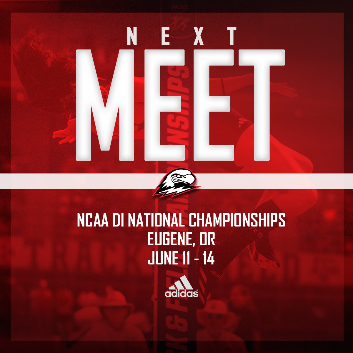 Season finale loading…💥 

#TBirdNation ⚡️ #RaiseTheHammer