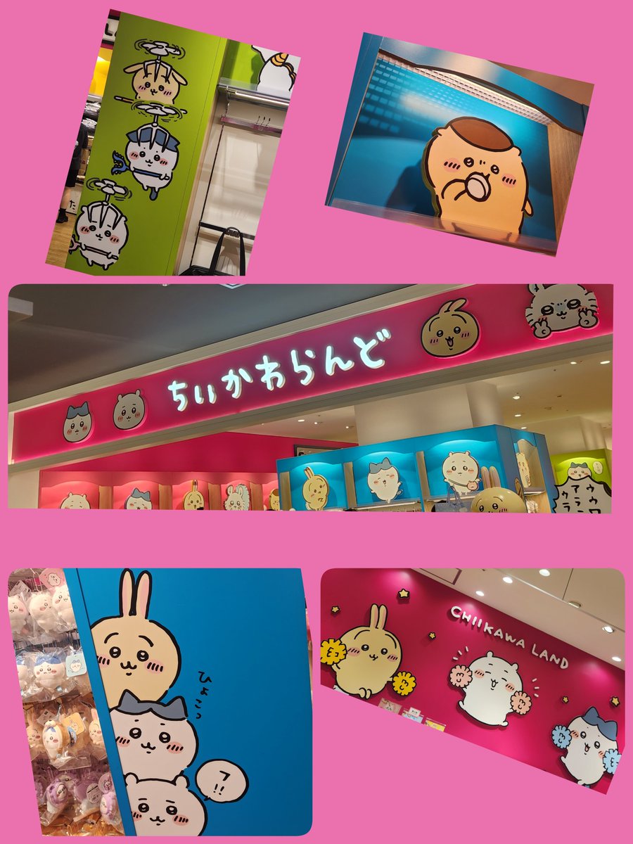 gaze6969tsk's tweet photo. 2025・6・9
SAM Live 大阪 お疲れ様でした
KUROちゃんが出てくるまで
心配していましたが…大分声が出ていて大分安心した
(クララさんと交互)
KUROちゃん歌声最強
SAMさんも呑みながらBASE弾
毎回めっちゃくちゃかわいいくてBASEも上手
他メンバー凄腕揃
めっちゃくちゃ楽かった
#SAMLive https://t.co/uMht71NLwX