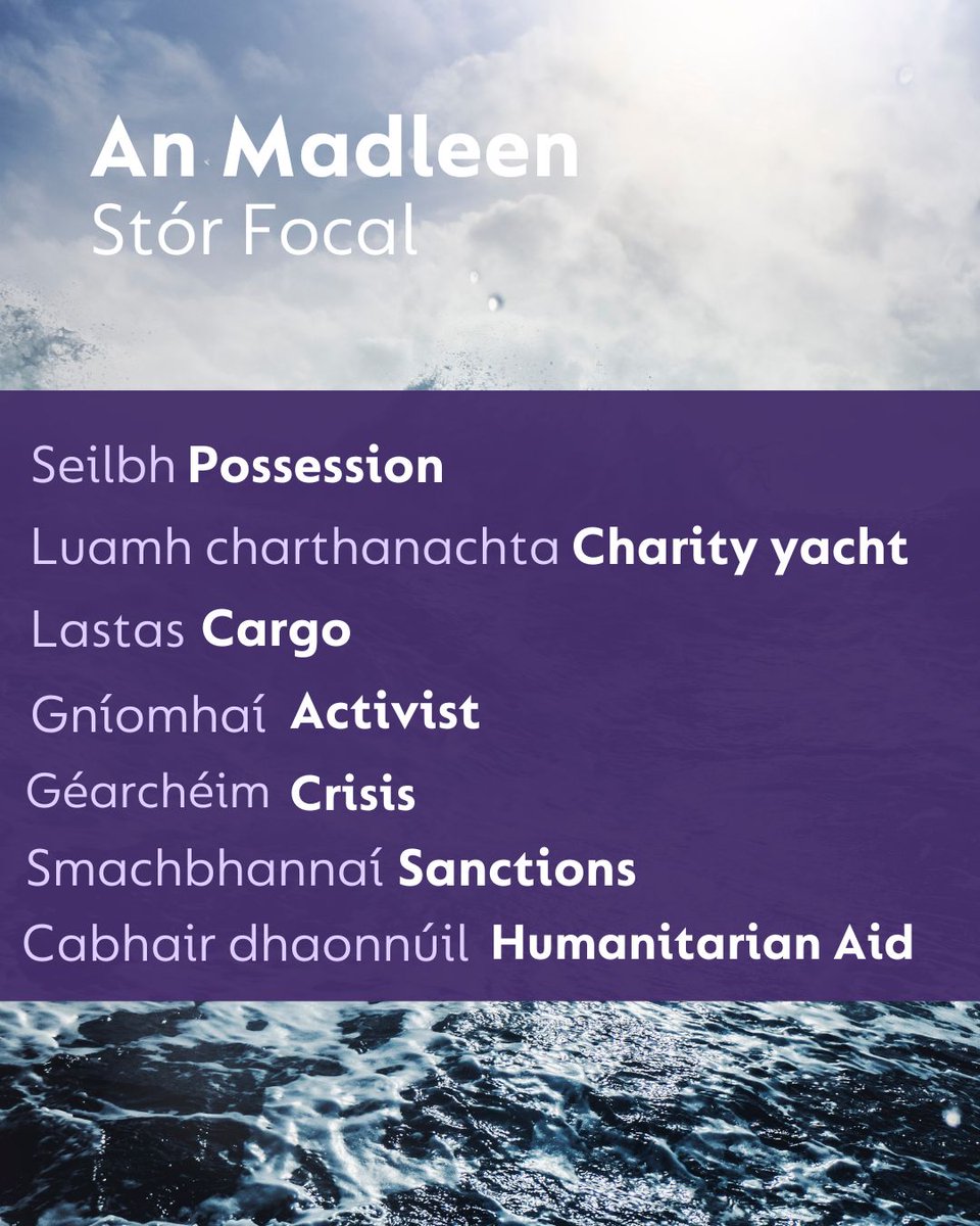 Gach seans go mbeidh cuid de na frásaí seo in úsáid sa Nuacht inniu 📺Coinnigh cluas amach dóibh ⛵