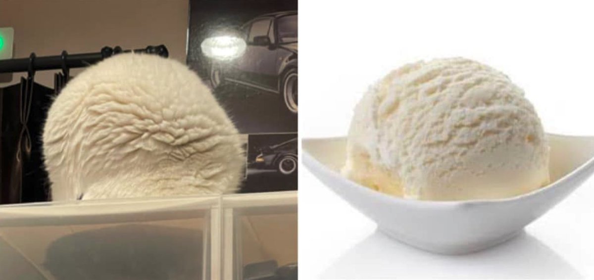 Vanilla ice cream. Size 9 kg.