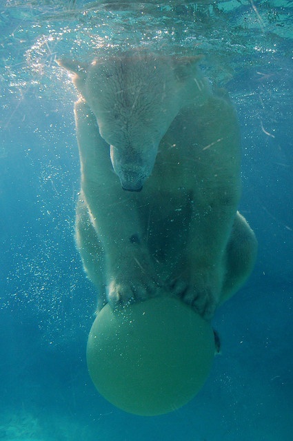 Once ETH breaks &amp; flips 2.8k you will wish you had allocated here. 

All hell will break loose for eth onchain projects at that point. 

I'm personally adding massively at these current levels. Only a matter of time.