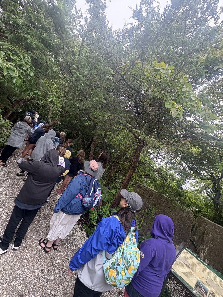 Jennifer Rowland tweet media