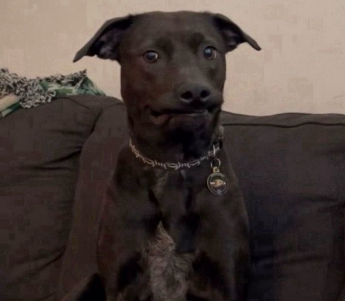 i broke up with my ex a week ago because he lacked communication (wouldn't hear from him for 3 days or so) and now that we're not together he wants to act like it never happened and come see me...