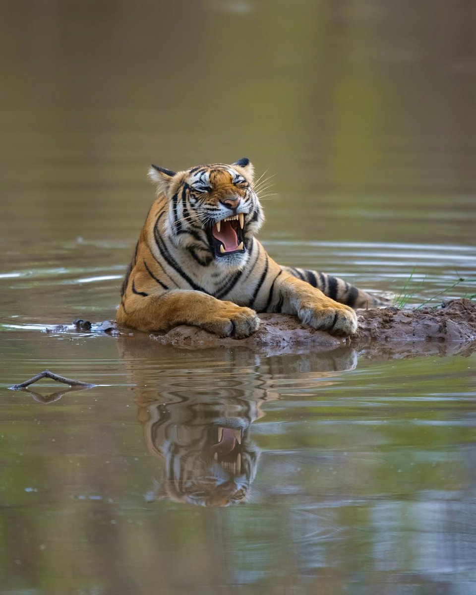 VagrantTravels's tweet image. 