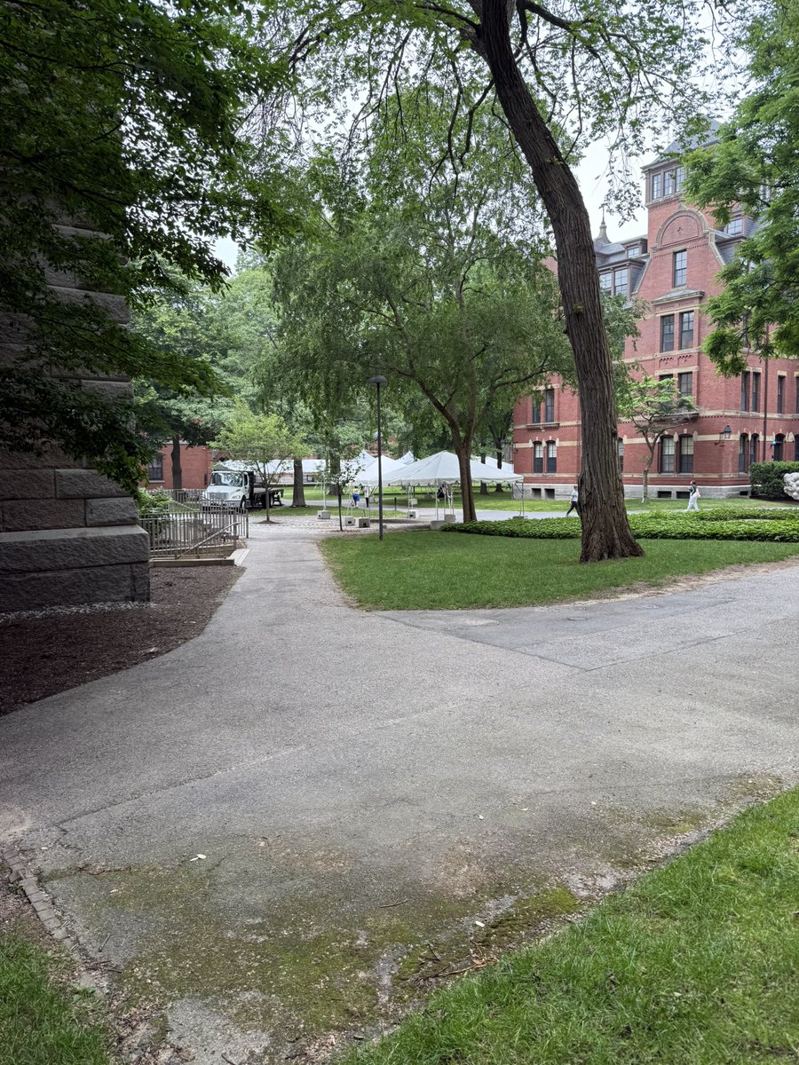 Nice to be at Harvard for Boston Bacterial Meeting today. Went for a walk after lunch down to the old Wigglesworth dorm. 

Almost exactly 35 years ago, a young me sat on this ledge of the library and pondered my future. Well, future is here attending this amazing conference again