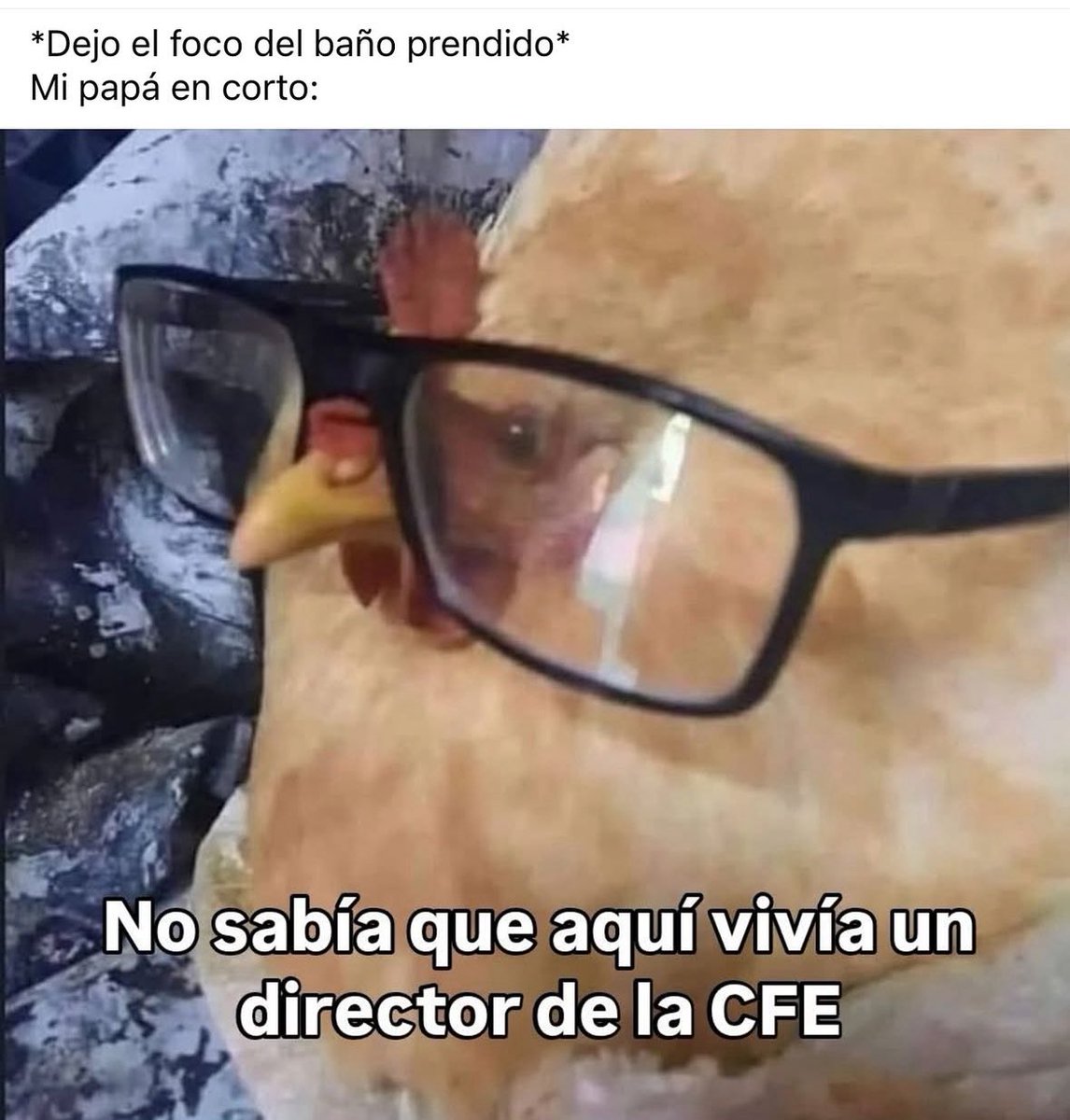 chocrocat's tweet photo. Ahora soy yo ese papá 🤣 https://t.co/Sgy862WvNn