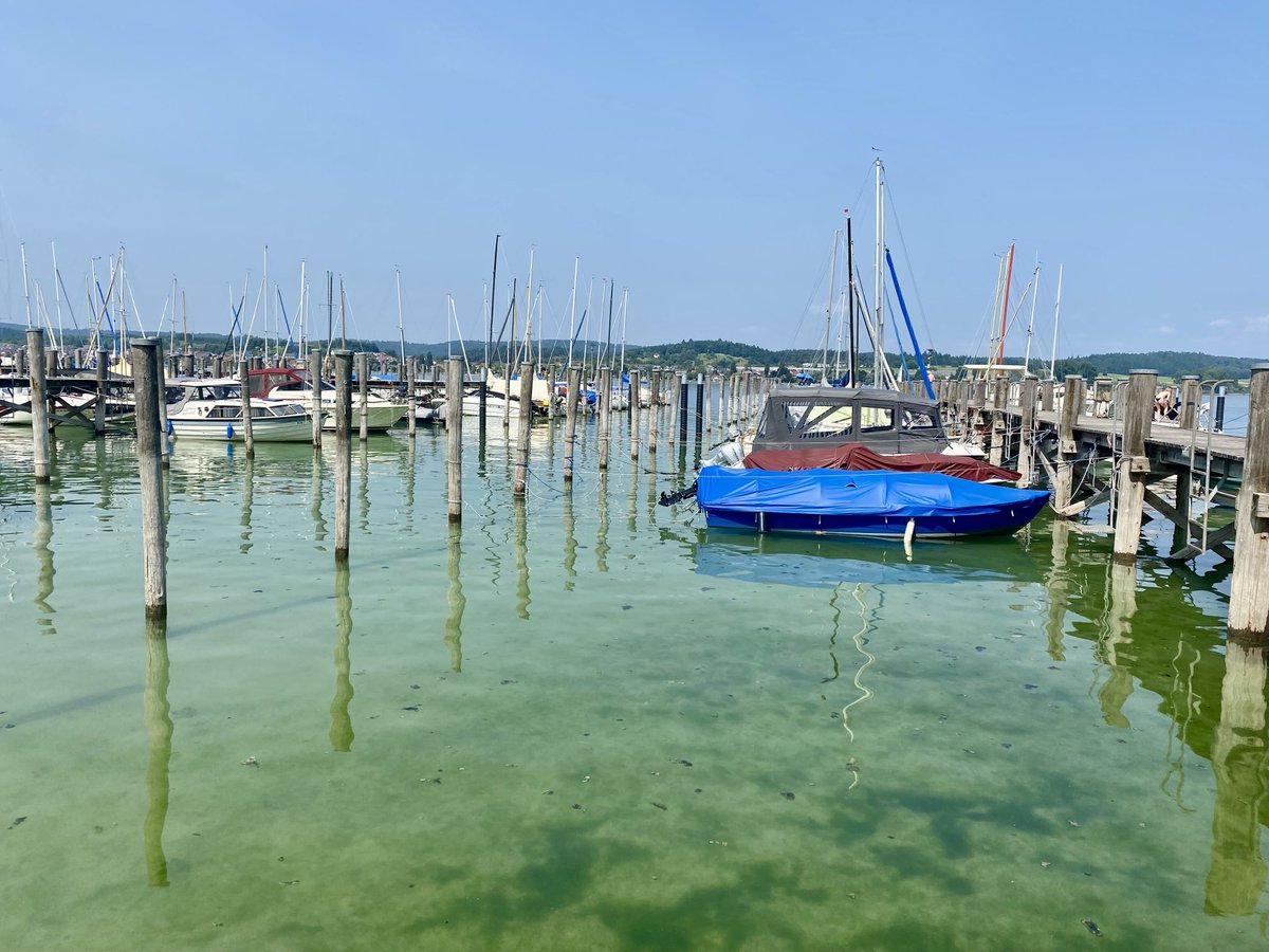 Annabaesle's tweet photo. Radeln macht Freude.❤️
#Inselglück #Reichenau #Bodensee https://t.co/0g7U8OXSHJ