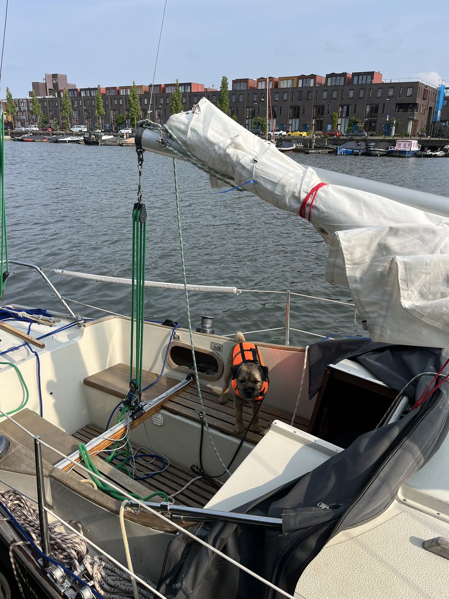 Sepp🐾 tweet media