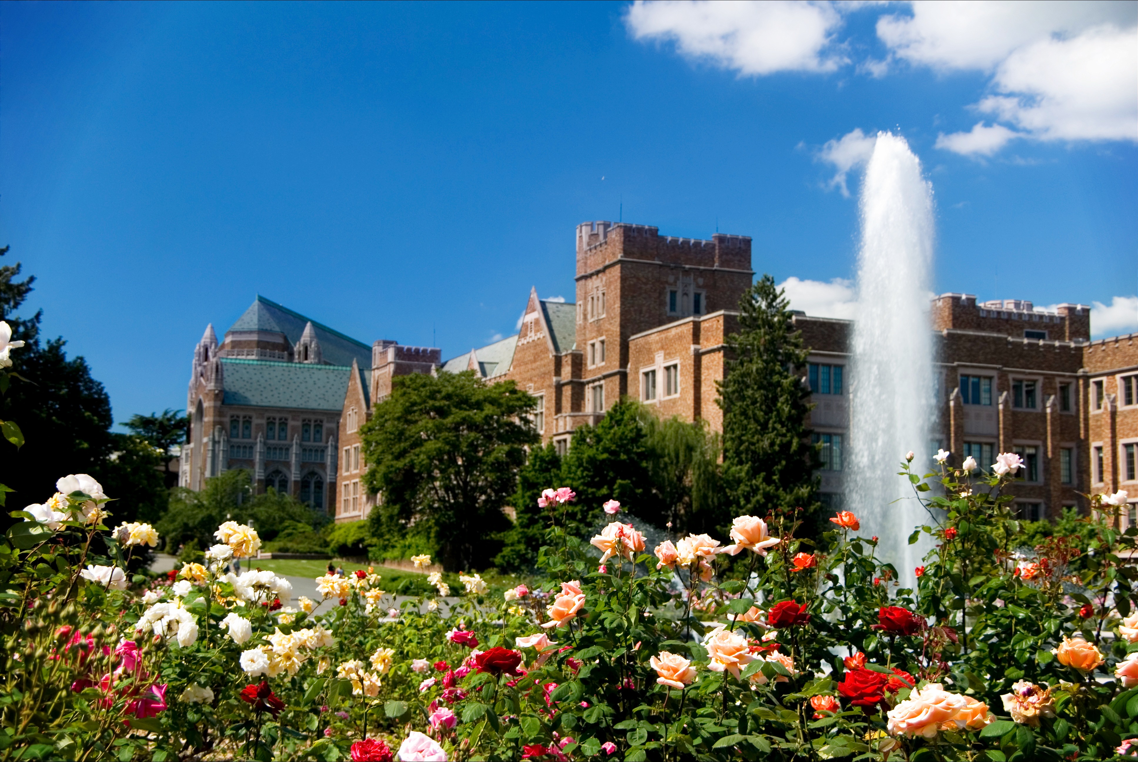 定率割引 往復 University of X / (@UW) Washington その他