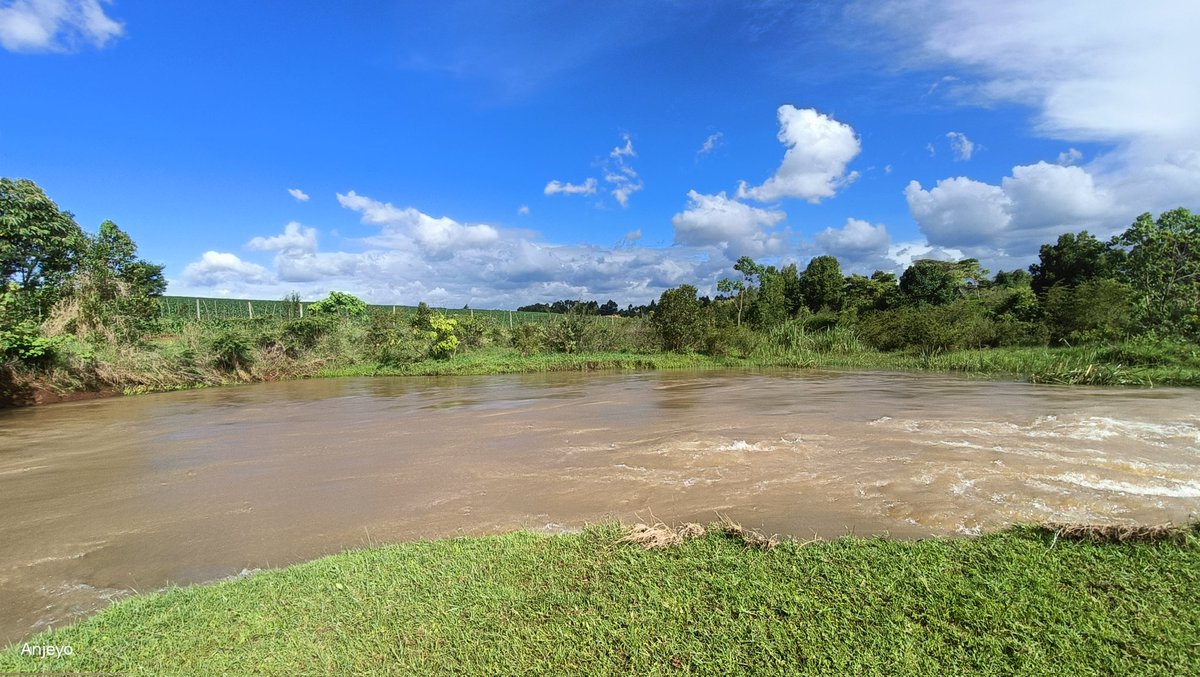 Nature 💚💚💚💚