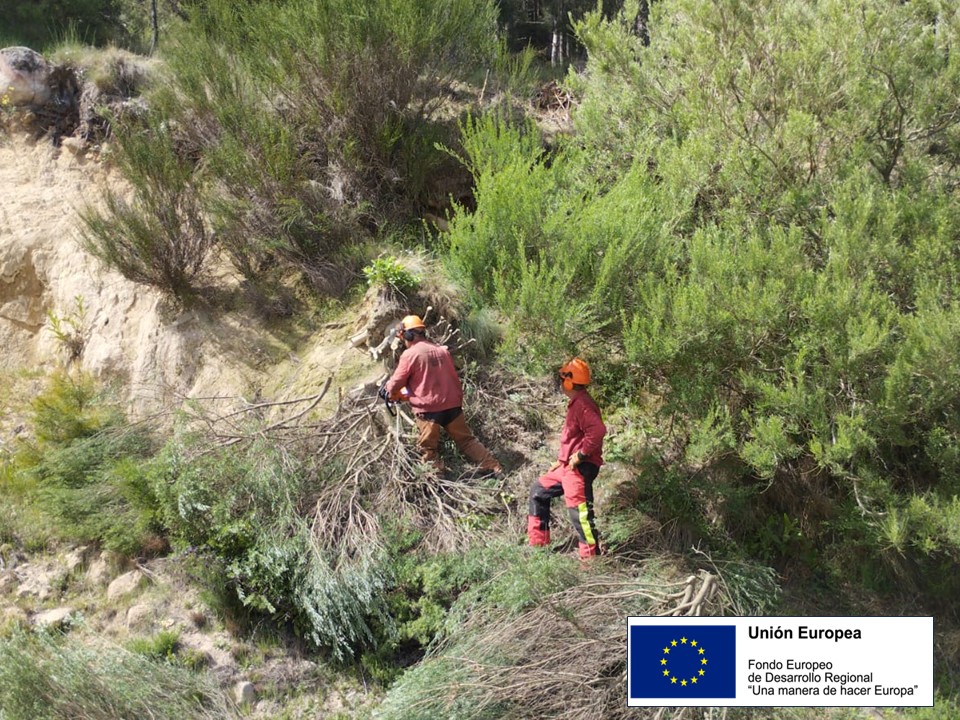 naturalezacyl's tweet photo. En mayo los 5 equipos #UBAS de #INFOCAL han continuado su trabajo de prevención con tratamientos selvícolas, mantenimiento de caminos y de infraestructuras de prevención. Gracias a los fondos #FEDER se dispone de un medio versátil que integra #prevención y #extinción https://t.co/BEwQUXOwOI