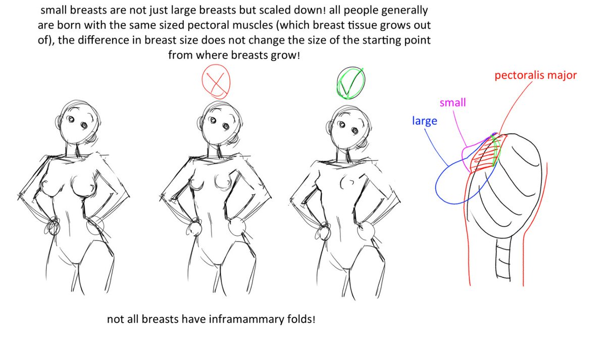 theriseofswolo's tweet image. suddenly felt compelled to share a nsfw art pet peeve of mine i see sometimes