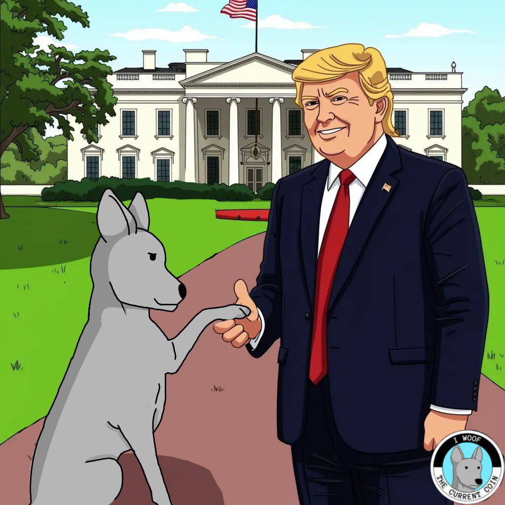 buble_man's tweet photo. @calebsol Hi @calebsol
🧠🚨 IQ doesn't need to be 200 to make money.❗
Just follow $NPC & $NPI, and let the memes do the work.🕹️😎 @Official_NPI
#NoThinkJustHold #NPCArmy https://t.co/8M8QOT05uy