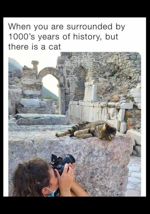 claredaleyhome's tweet image. Came for the ancient wonders, stayed for the street cats 😻📸 Why admire ruins when you’ve got purrfection on every corner?

 #CatChitecture #FurRealTourism #MeowMentosNotMonuments #buyahomegiveahome #buyahomewithme