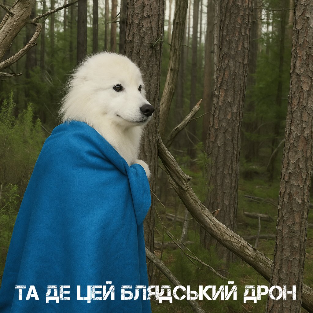 #Мем