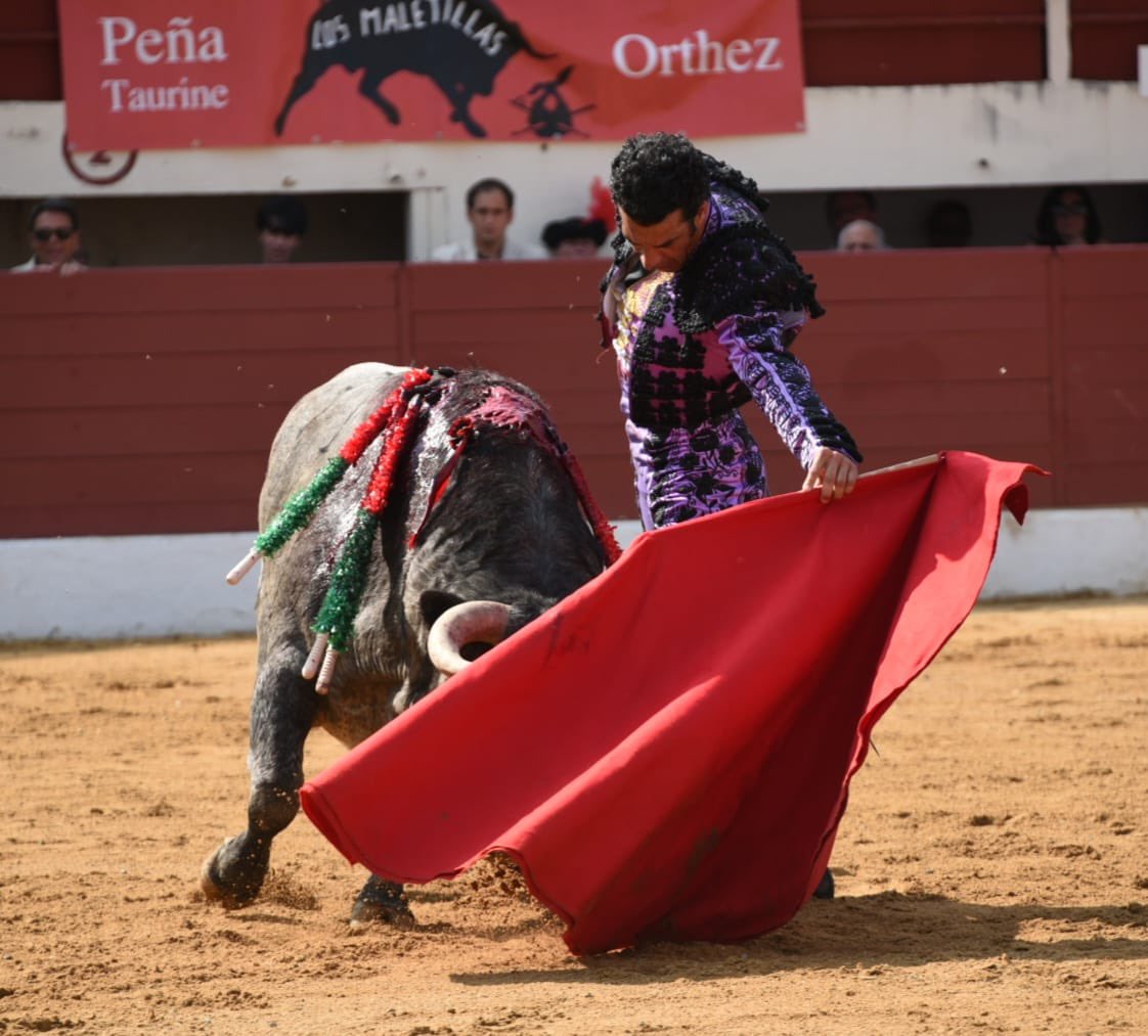 javier (@javiertorear) on Twitter photo Muy bien <a href="/Morenitofi24/">Morenito de Aranda Oficial</a> y <a href="/Flordejara6/">Flor de Jara Ganadería</a> en <a href="/TorosEnVic/">Club Taurin Vicois</a> .
( visto en <a href="/OneToroTV/">OneToroTV</a> ) . Me alegra . Espero tener oportunidades de verlos en breve Muy bien <a href="/Morenitofi24/">Morenito de Aranda Oficial</a> y <a href="/Flordejara6/">Flor de Jara Ganadería</a> en <a href="/TorosEnVic/">Club Taurin Vicois</a> .
( visto en <a href="/OneToroTV/">OneToroTV</a> ) . Me alegra . Espero tener oportunidades de verlos en breve