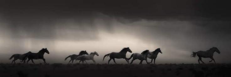 "Koşsan da yetişemezsin şayet yazılmadıysa."