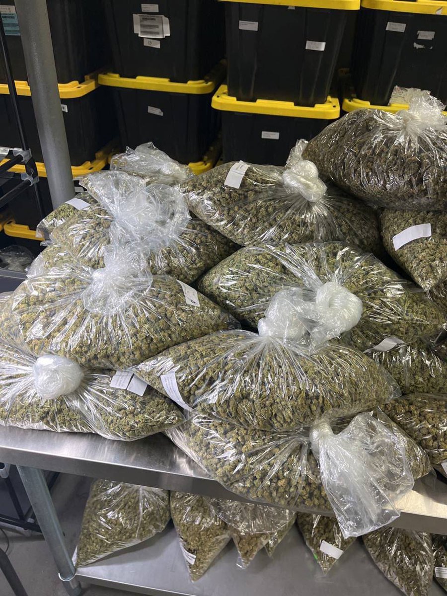 luna_stower420's tweet image. It’s weekend get me $250 for bag. Free shipping and delivery DM now #cannabis #weedplug #zazaplug