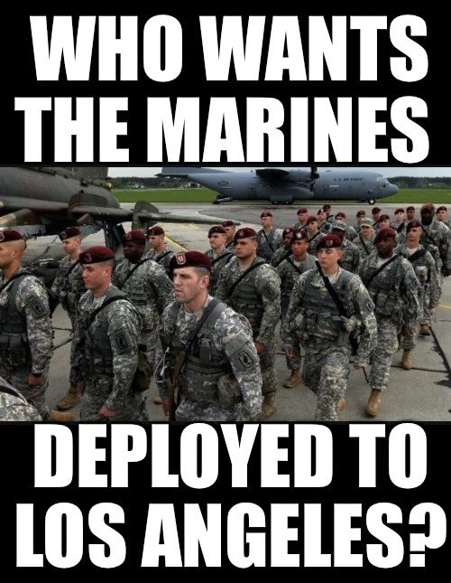 TheEXECUTlONER_'s tweet image. Do you want the United States Marines deployed to Los Angeles to stop the rioting? 

A. Yes
B.  No