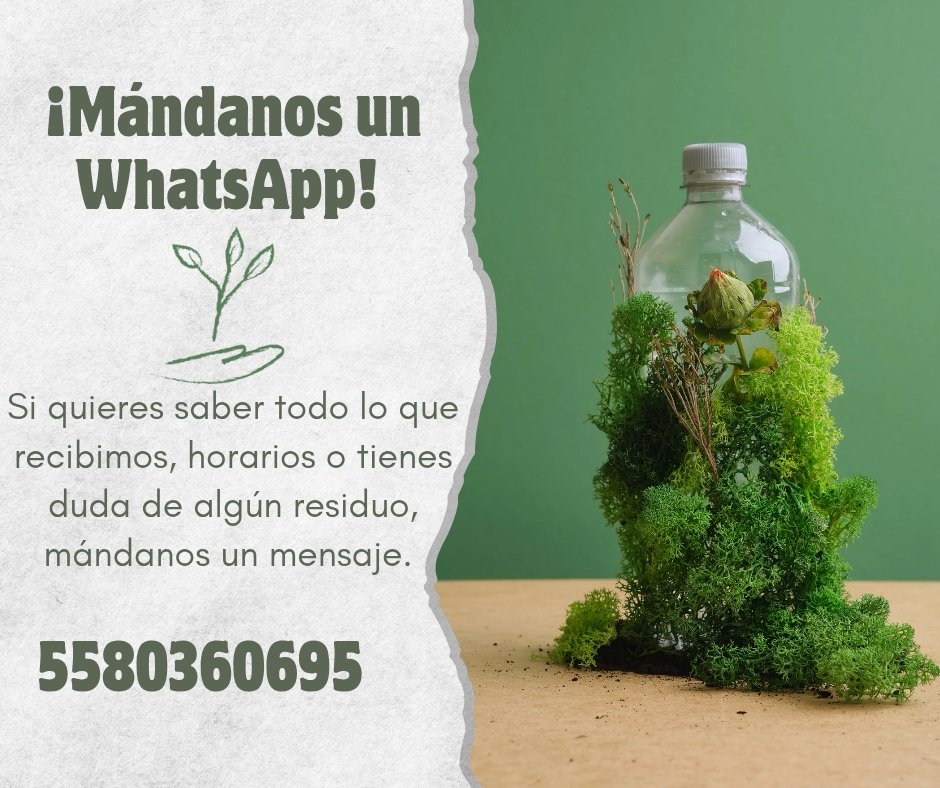 Recupera Del Valle tweet media