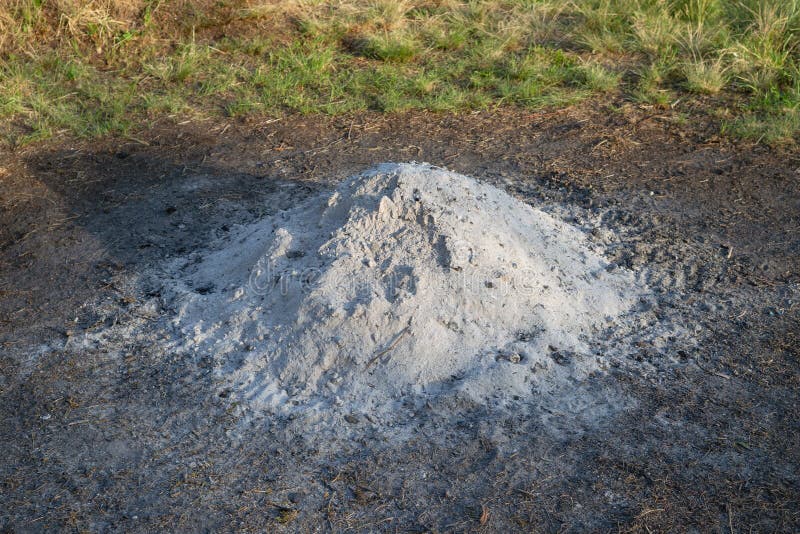 Alexander Dugin We are calling about your car's extended warranty