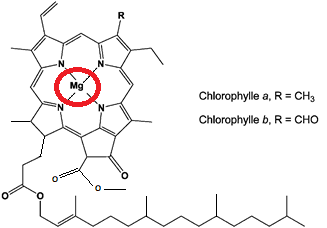Taylor Jeffery tweet media