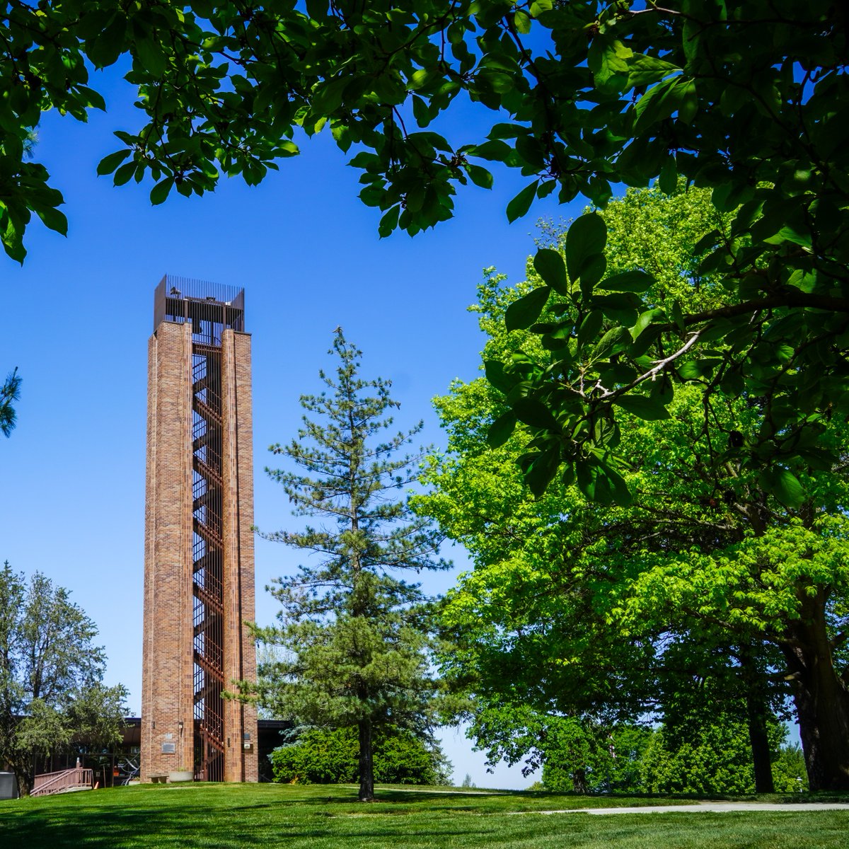 Doane University tweet media