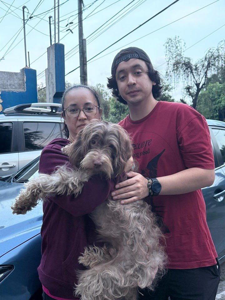 Animals Hope tweet media