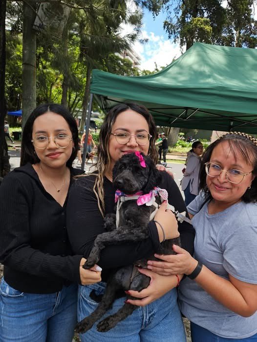 Animals Hope tweet media