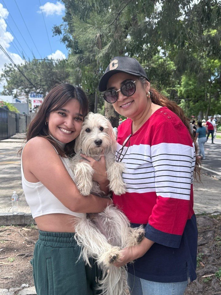 Animals Hope tweet media