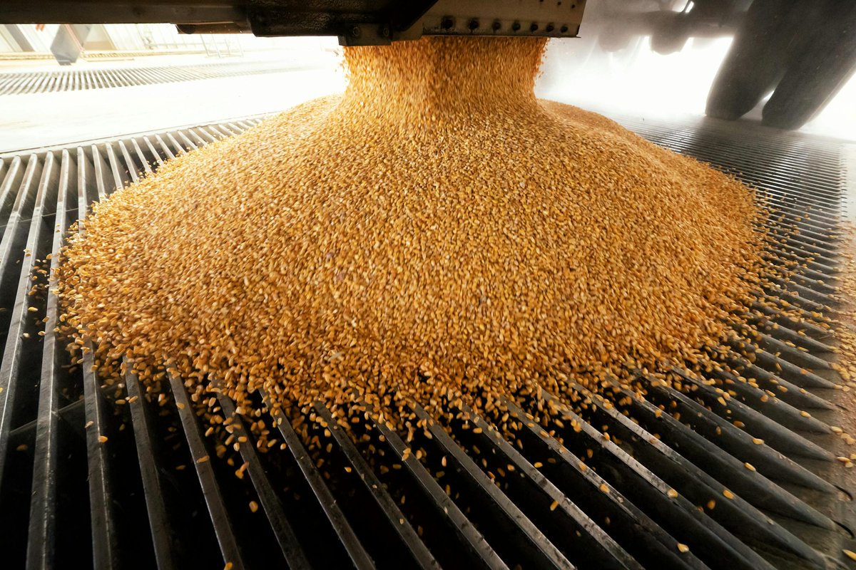 Jason Hill, a professor in UMN’s Department of Bioproducts and Biosystems Engineering, is quoted in a recent Star Tribune article, raising concerns about how federal estimates may undercount the climate impact of biofuels like ethanol. Read the story: bit.ly/4jzAAVK