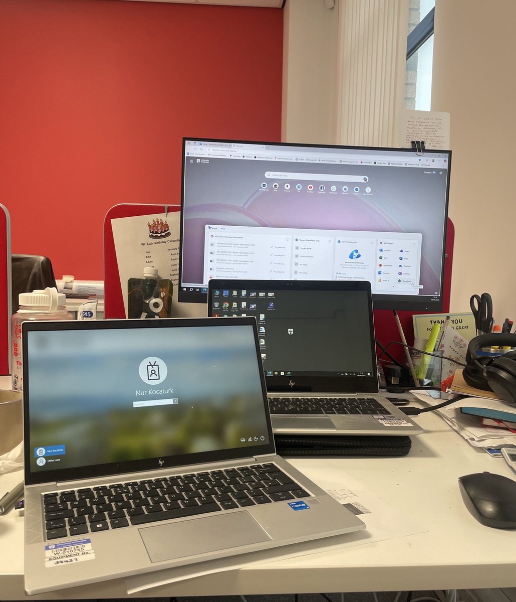 Nur Kocatürk tweet media