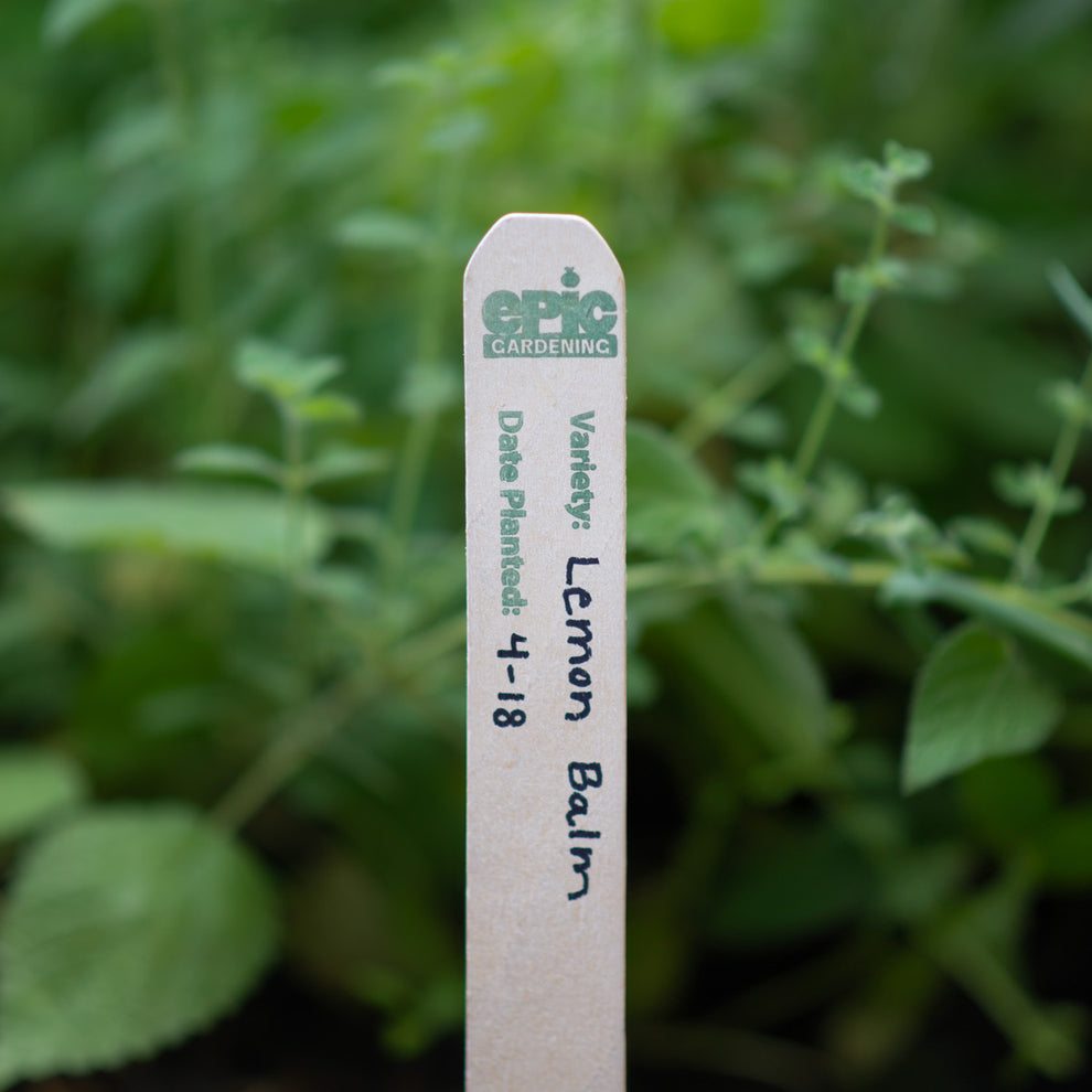 Babe wake up, Epic Gardening just dropped their USA-made, white cedar, fully compostable, extra tall plant labels