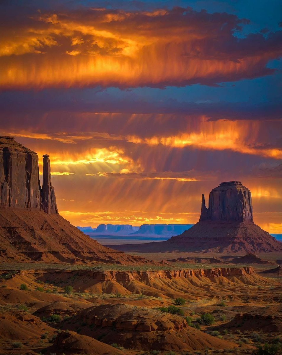 Tom Thompson tweet media