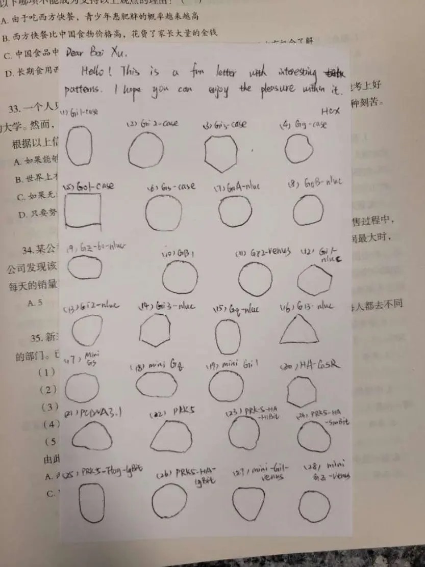 🚨🇨🇳 WUHAN SCIENTIST BUSTED AT DETROIT AIRPORT WITH BIOLOGICAL MATERIAL

3rd one this month.

Chengxuan Han flew in from Shanghai, told agents she was just visiting. 

What she didn’t mention: 4 packages of biological samples already shipped ahead, labeled as “plastic cups,” but