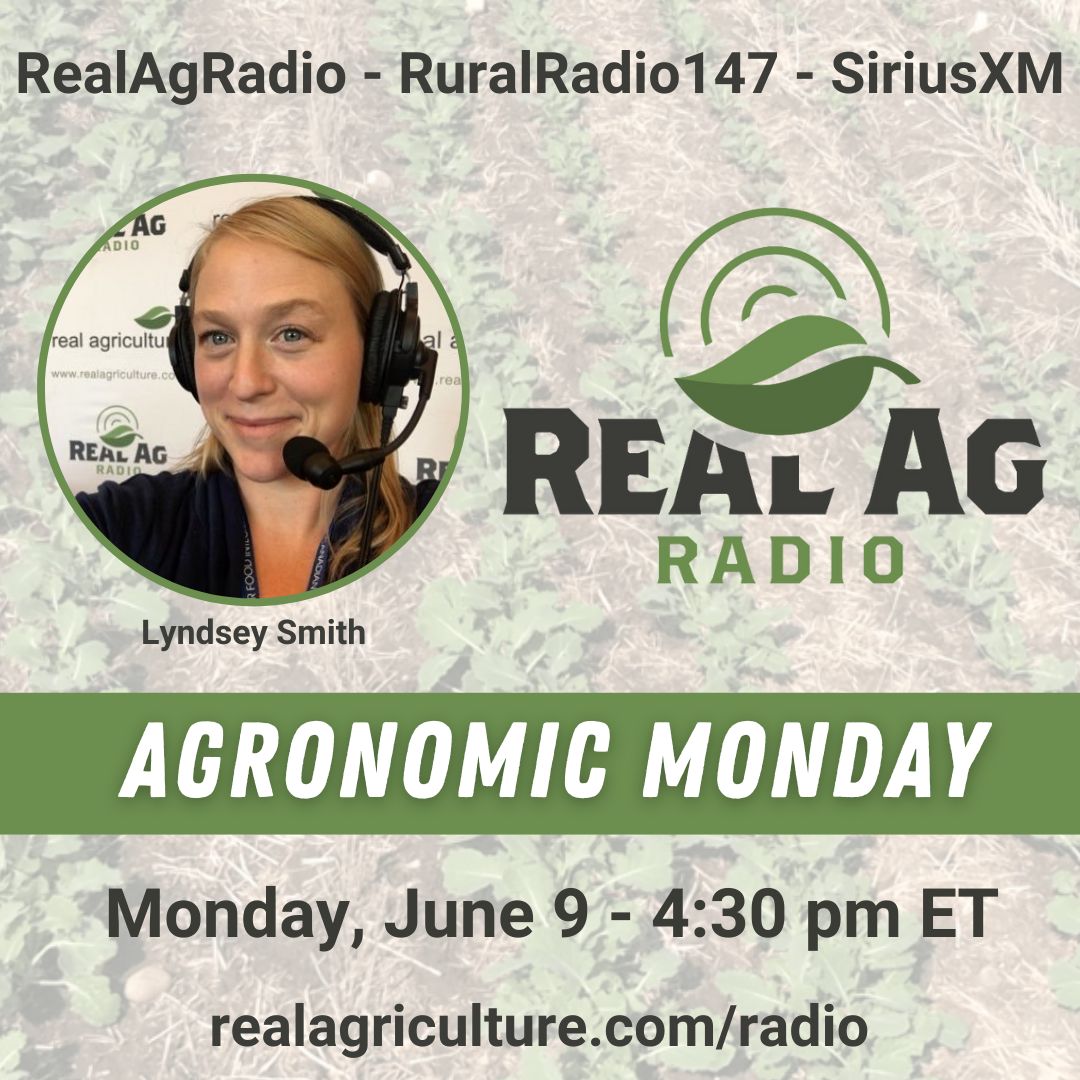 RealAgriculture (@realagriculture) on Twitter photo Check out #RealAgRadio at 430 E on <a href="/RURALRADIO147/">RURALRADIO147</a>! Host <a href="/realloudlyndsey/">Lyndsey Smith 🐑🍁</a> is joined by <a href="/MikePalmier/">Mike Palmier</a> of <a href="/MNP_LLP/">MNP</a>, Don MacDonald of <a href="/G3_Connection/">@G3_Connection</a>, <a href="/murdoch_steph/">Steph Myslik CCA-ON</a> of <a href="/PRIDESeeds/">PRIDE Seeds</a>, & <a href="/JDGaultier/">Jeanette Gaultier</a> of <a href="/BASF/">BASF</a> for Agronomic Monday! Check out #RealAgRadio at 430 E on <a href="/RURALRADIO147/">RURALRADIO147</a>! Host <a href="/realloudlyndsey/">Lyndsey Smith 🐑🍁</a> is joined by <a href="/MikePalmier/">Mike Palmier</a> of <a href="/MNP_LLP/">MNP</a>, Don MacDonald of <a href="/G3_Connection/">@G3_Connection</a>, <a href="/murdoch_steph/">Steph Myslik CCA-ON</a> of <a href="/PRIDESeeds/">PRIDE Seeds</a>, & <a href="/JDGaultier/">Jeanette Gaultier</a> of <a href="/BASF/">BASF</a> for Agronomic Monday!