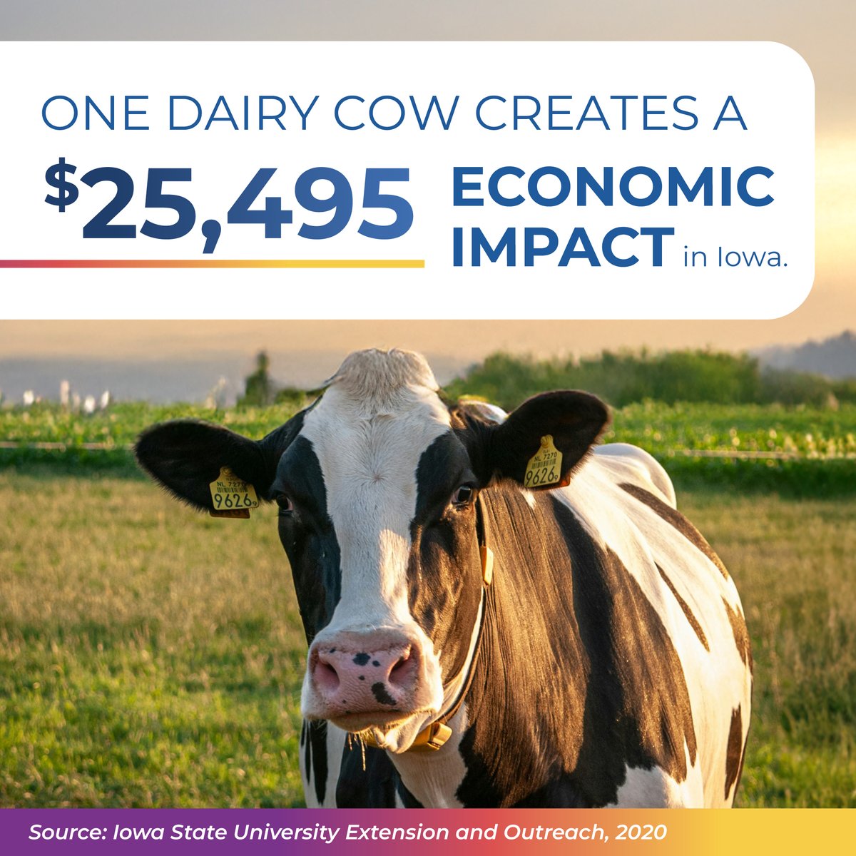 Happy June #DairyMonth! From farms to manufactuers to grocery store shelves, Iowa's dairy industry continues to embrace innovation, drive sustainability and power local economies. 🐄
