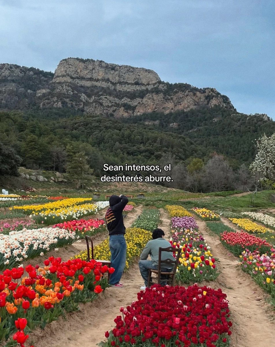 nación (@escritosnacion) on Twitter photo 