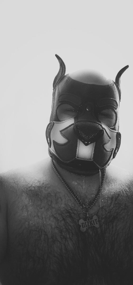 SpookyBizkit tweet media