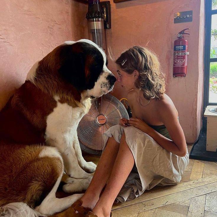 maltidebanty's tweet photo. New release today!!
DM for menu and price👇🔞🐾

📽️🔗 https://t.co/vJg8qmqgh3

#zoophilia #bestiality #doglover #dogknotting #dogsex #knotty #dogpill #dog #puppy #dogwhore #dogwoman #zoocontent #coocksucker #ebonyzoo #전신 #룩북 #lookbook #스타킹 #koreangirs #asiangirlsonly #이돌 https://t.co/JiIN1lBBU0