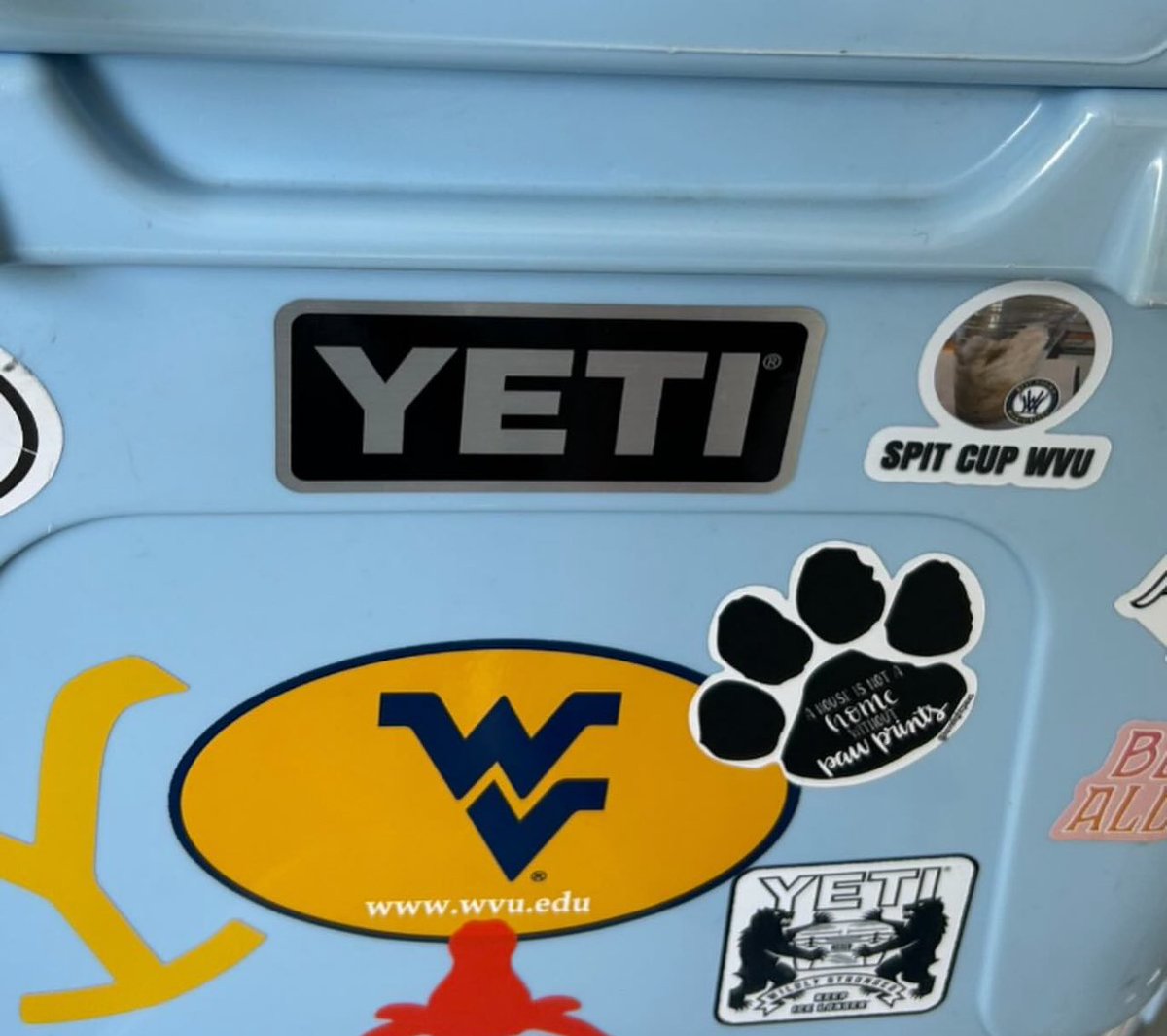 SPIT CUP WVU ⚾️ tweet media