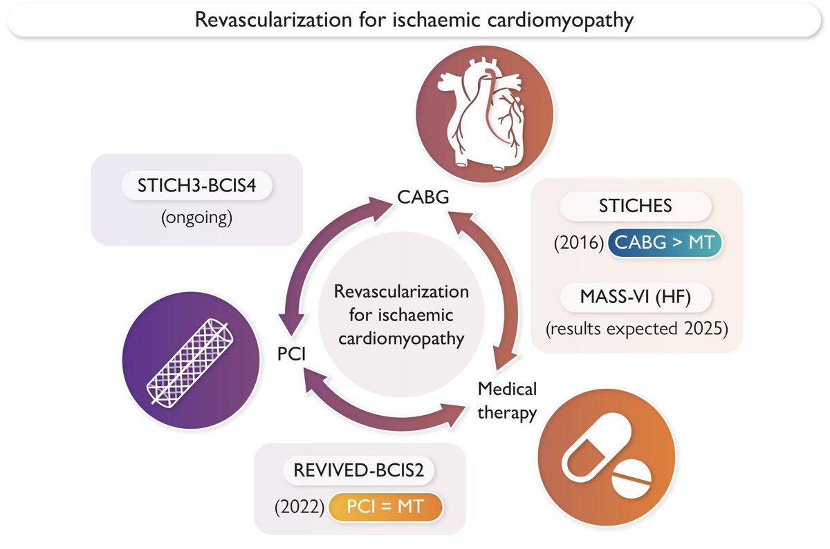 Our IPD analysis of <a href="/REVIVED_BCIS2/">REVIVED</a>  and STICH is out in print today! Did PCI fail to match CABG, or did medical therapy move the goalposts? Exciting implications for <a href="/BCIS4Trial/">BCIS-4 Trial</a>, which will complete the circle. doi.org/10.1093/eurhea…