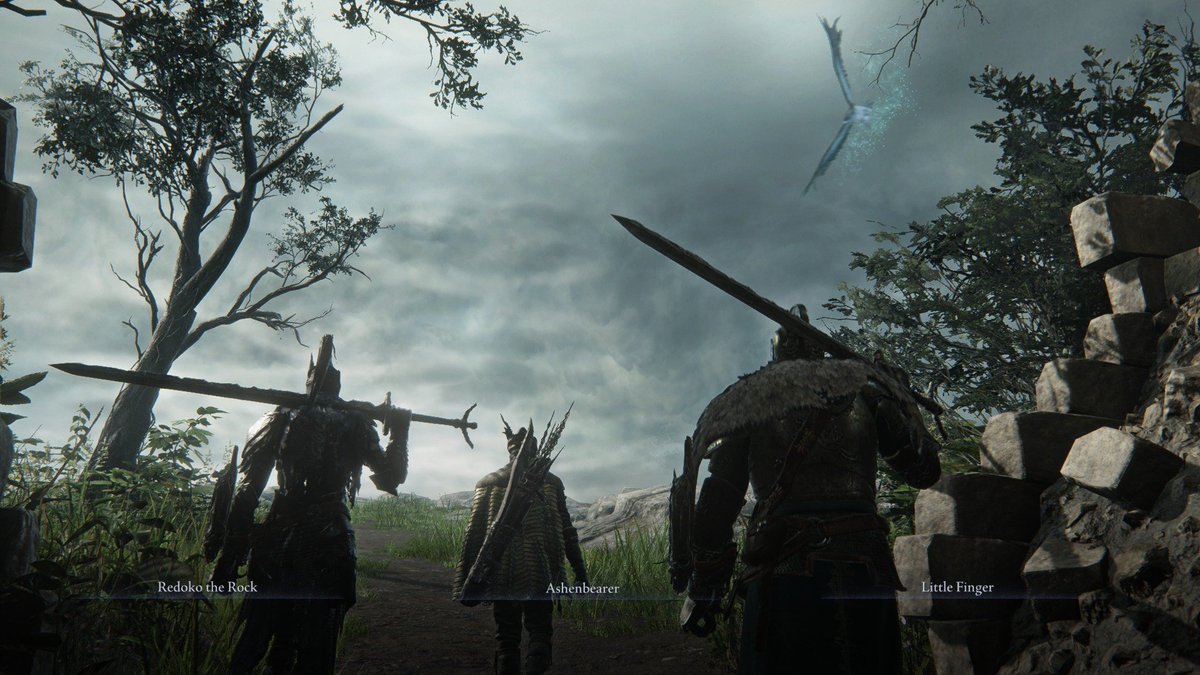 squallorvus's tweet image. To the two amazing randoms I met in Nightreign;
Thank you.
I had finally beaten Nightreign...