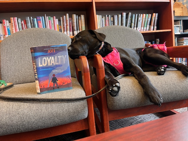 SRMS Library Learning Commons (@srmsllc) on Twitter photo The joy's of June in the #srmsct #LibraryLearningCommons: Newton's Law, #immigration human population patterns & movement, and book chillin' in the #LLC <a href="/RidgefieldPS/">Ridgefield PSD</a> <a href="/Sphero/">Sphero</a> #srmsctreads <a href="/C3Framework/">C3 Framework</a> #sschat #ngss
<a href="/RidgefieldPS/">Ridgefield PSD</a> The joy's of June in the #srmsct #LibraryLearningCommons: Newton's Law, #immigration human population patterns & movement, and book chillin' in the #LLC <a href="/RidgefieldPS/">Ridgefield PSD</a> <a href="/Sphero/">Sphero</a> #srmsctreads <a href="/C3Framework/">C3 Framework</a> #sschat #ngss
<a href="/RidgefieldPS/">Ridgefield PSD</a>