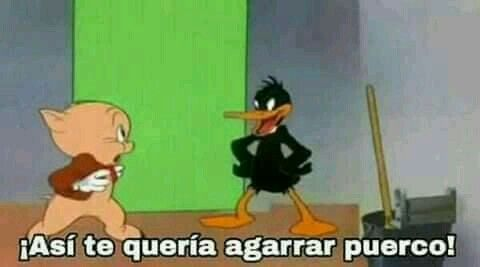 📘 (@extraultra___) on Twitter photo 